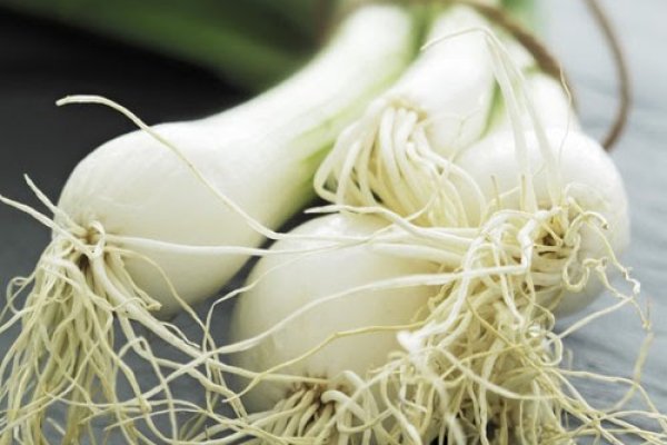 Kraken рабочее зеркало onion