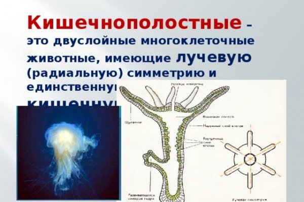 Кракен макет даркнет только через тор